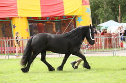 E34_3064 2026