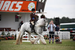 170-68 Gypsy Cob Championships