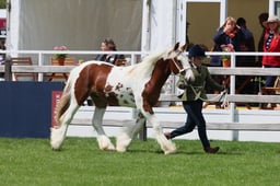 S28_8511 2026