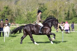 C19_0474 2026