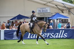 MEGS4829 2026