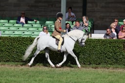 Small Breeds Championship