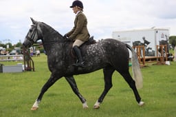 M36_1746 2026