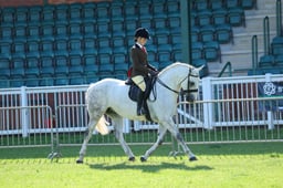 53 Unaffiliated Mixed Height SP & SHP