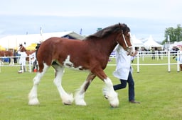 F44_0092 2026