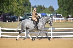 A66_0062 2026