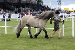 M44_0786 2026