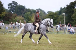 30-29 HOYS Pony Small Breeds Championship