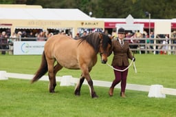 S29_0634 2026