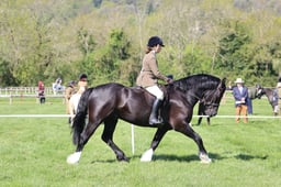 C19_0864 2026