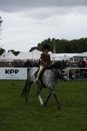 E30_4504 2026