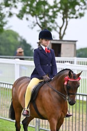 70 RIHS 128cms Show Pony