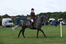 E36_0434 2026
