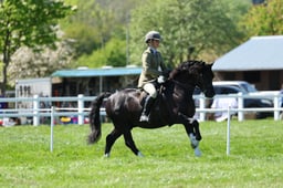 H19_0503 2026