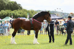 E36_0998 2026