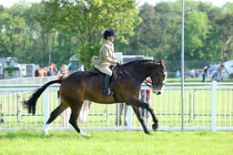 F34_1605 2026