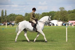 W36_2184 2026