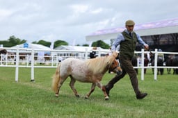 H44_0231 2026