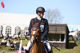 565 DHI NIELSON
