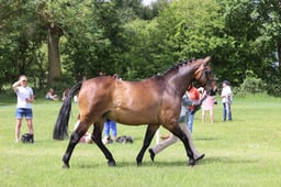 J36_6995 2026