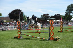 H314 Six Bar Show Jumping