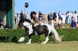 S61_0525 2026
