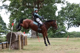 208 ARKANS HIGH FLYER