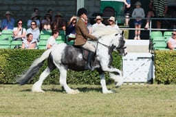 S61_0745 2026