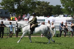 C34_1072 2026