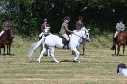 S60_0496 2026
