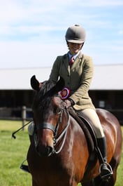 91 M&M Young Ridden Pony 6yrs