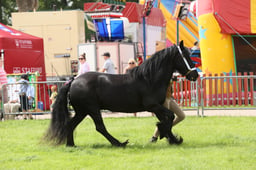 E34_2700 2026