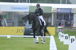 Dressage Demos