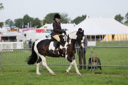 C34_0054 2026