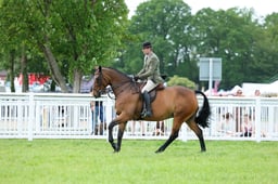 F34_2320 2026