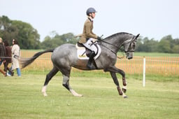 18 DOONAVEERAGH SHOTGUN