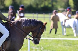 108 M&M Intermediate Welsh A & B
