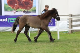 M44_0948 2026