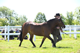 S19_7732 2026