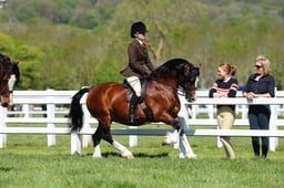 H19_0404 2026