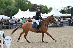 622 Roseysaurous