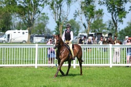 F33_1066 2026