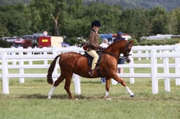 E42_0556 2026