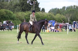 W36_1932 2026
