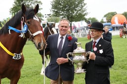 Heavy Horse Grand Parade