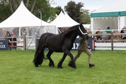 W29_0895 2026