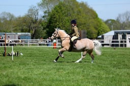M19_0468 2026