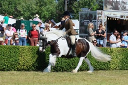S61_0856 2026