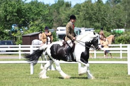 Z42_3859 2026