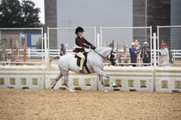 121E Show Hunter Pony Championships